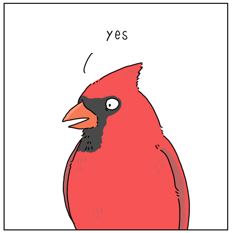 https://cdn-dev.tinyview.com/they-can-talk/2023/04/24/bright/bird_colors2.jpg