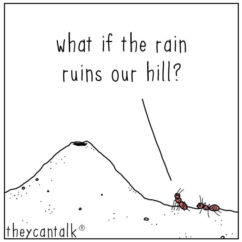 https://cdn-dev.tinyview.com/they-can-talk/2023/04/28/persistence/ants_rain1.jpg