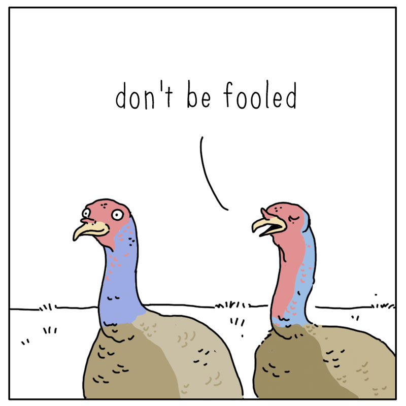 https://cdn-dev.tinyview.com/they-can-talk/2023/05/01/fooled/turkey_fluff2.jpg