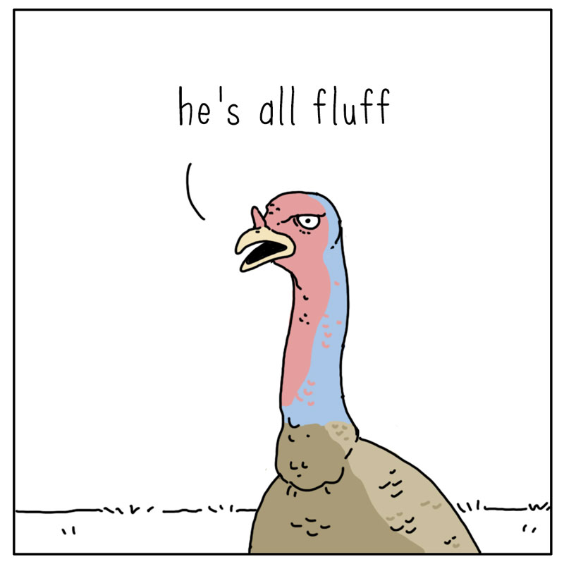 https://cdn-dev.tinyview.com/they-can-talk/2023/05/01/fooled/turkey_fluff3.jpg