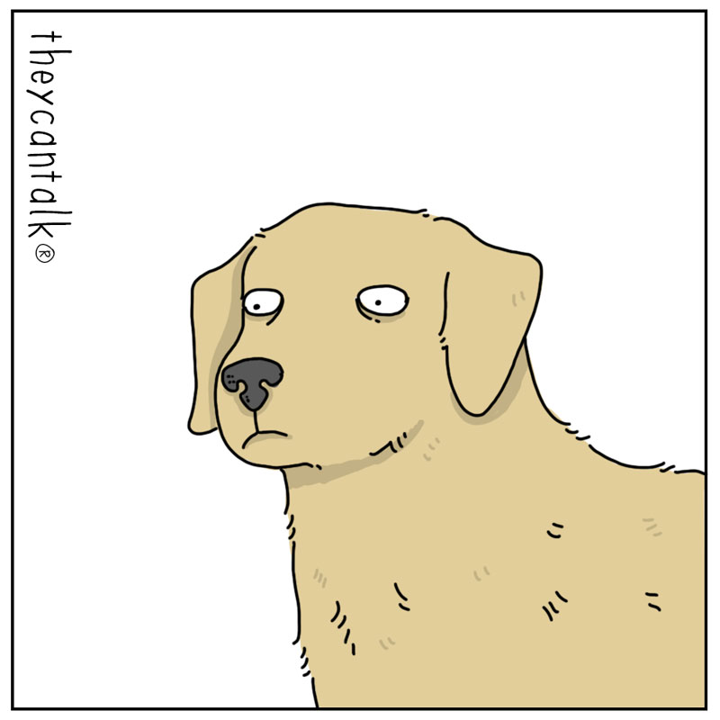 https://cdn-dev.tinyview.com/they-can-talk/2023/05/04/stick/dog_stick3.jpg