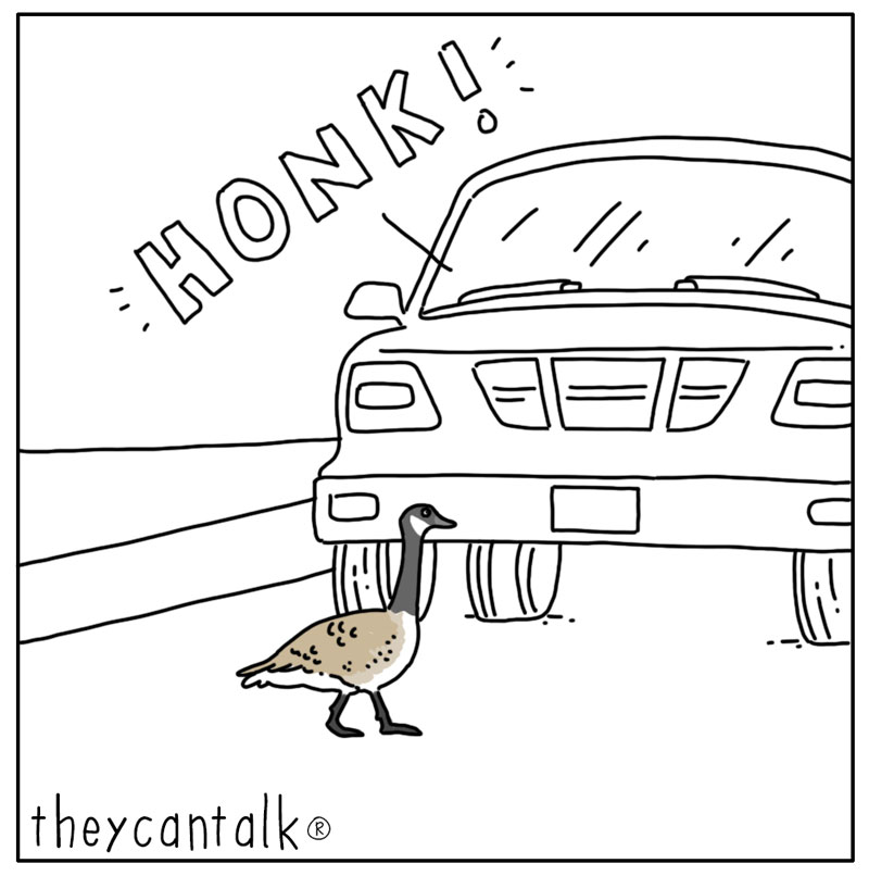https://cdn-dev.tinyview.com/they-can-talk/2023/05/29/honk/goose_honk1.jpg