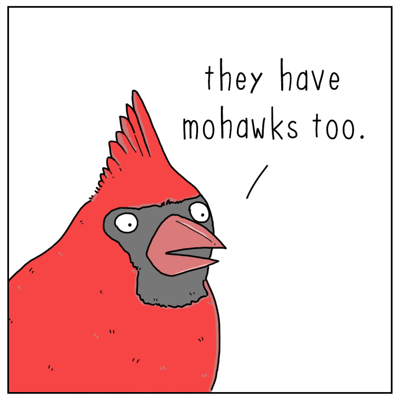 https://cdn-dev.tinyview.com/they-can-talk/2023/06/02/mohawk/cardinal_mohawk2.jpg