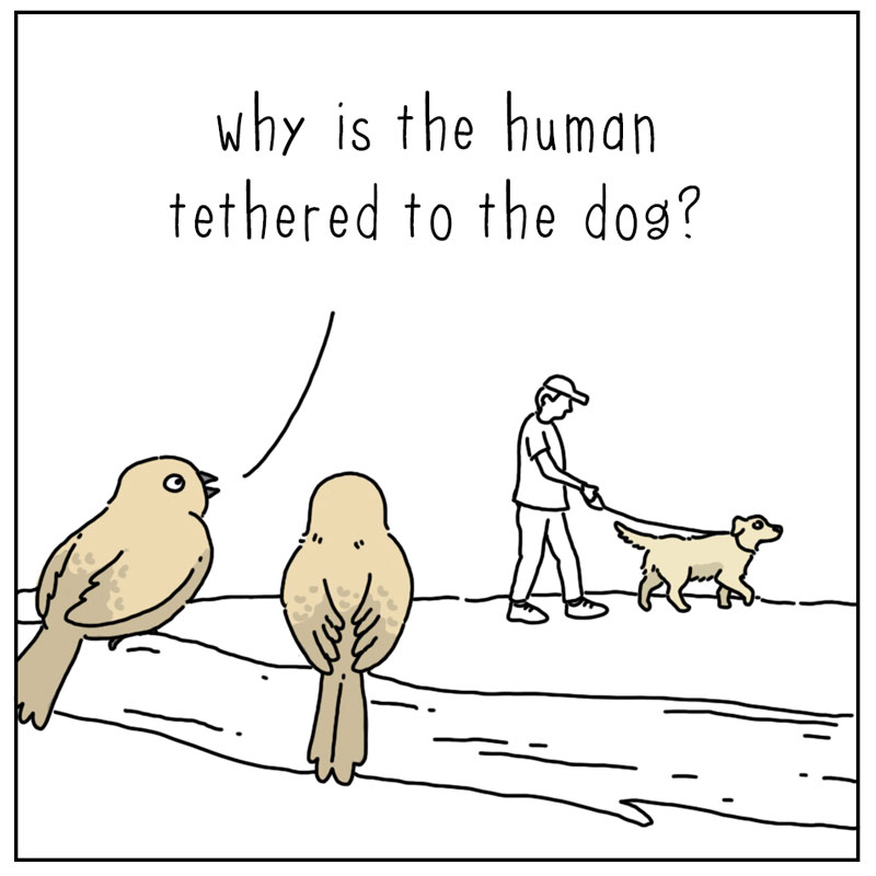https://cdn-dev.tinyview.com/they-can-talk/2023/07/17/tethered/dog_tethered1.jpg