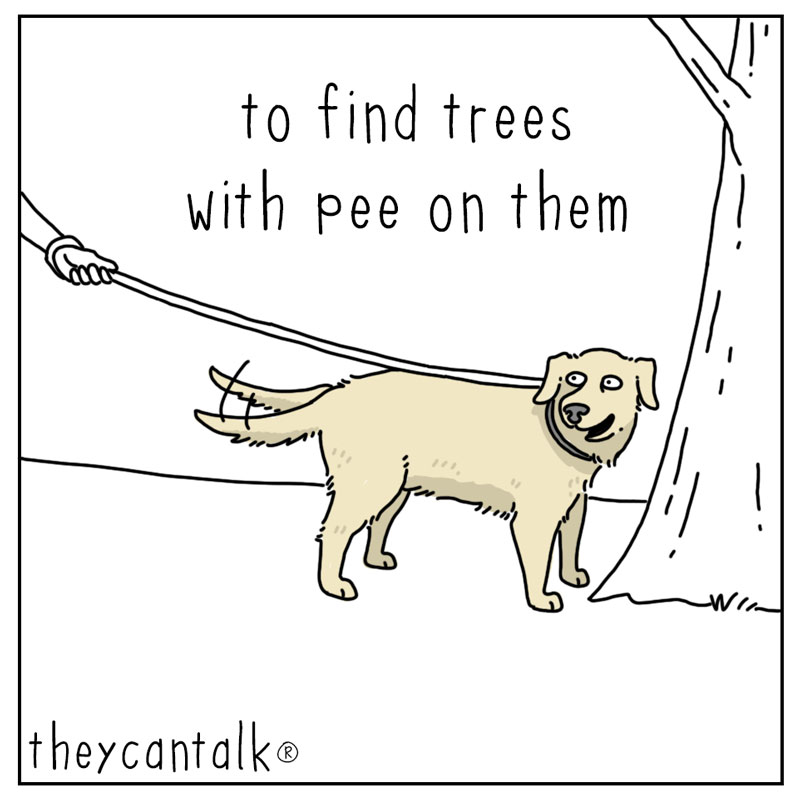 https://cdn-dev.tinyview.com/they-can-talk/2023/07/17/tethered/dog_tethered3.jpg