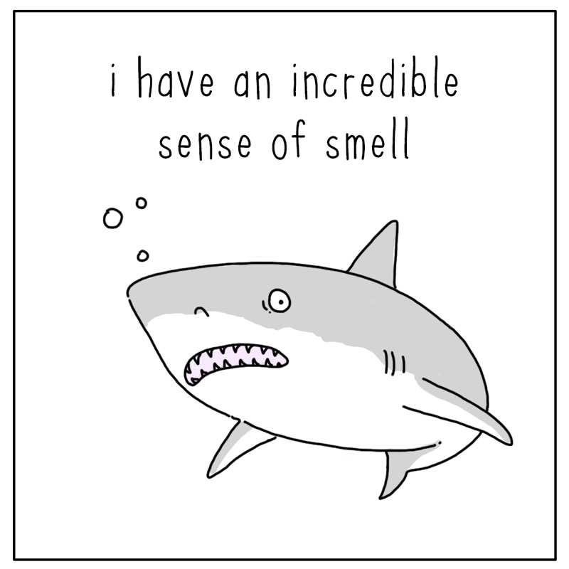 https://cdn-dev.tinyview.com/they-can-talk/2023/07/24/smell/shark_poop1.jpg