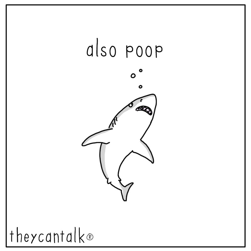 https://cdn-dev.tinyview.com/they-can-talk/2023/07/24/smell/shark_poop3.jpg
