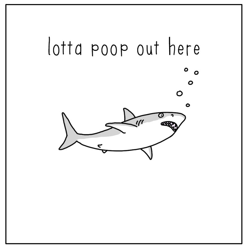 https://cdn-dev.tinyview.com/they-can-talk/2023/07/24/smell/shark_poop4.jpg
