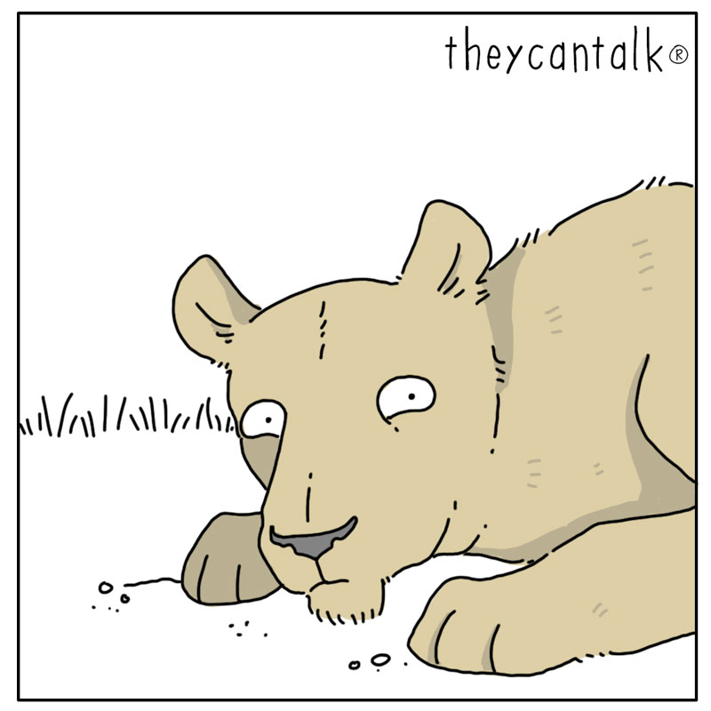 https://cdn-dev.tinyview.com/they-can-talk/2023/09/11/suggestion/lion_suggesting2.jpg
