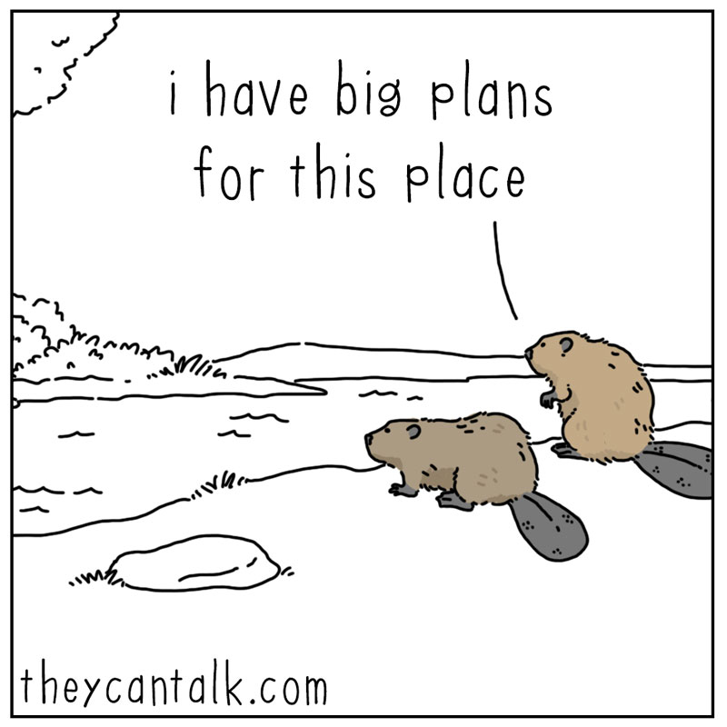 https://cdn-dev.tinyview.com/they-can-talk/2023/09/14/plans/beaver_dam1.jpg