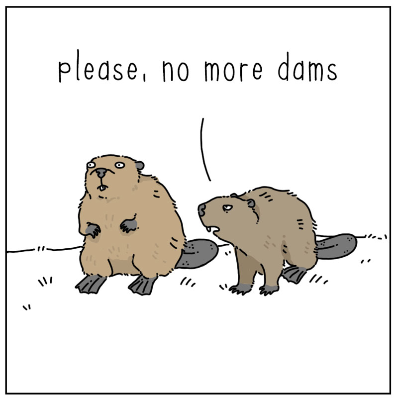https://cdn-dev.tinyview.com/they-can-talk/2023/09/14/plans/beaver_dam2.jpg