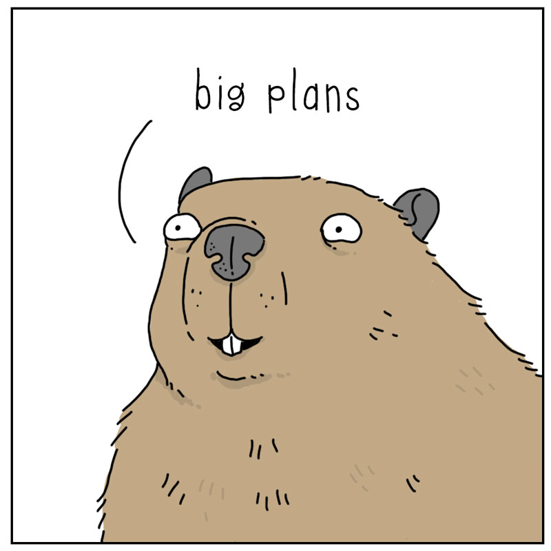 https://cdn-dev.tinyview.com/they-can-talk/2023/09/14/plans/beaver_dam3.jpg