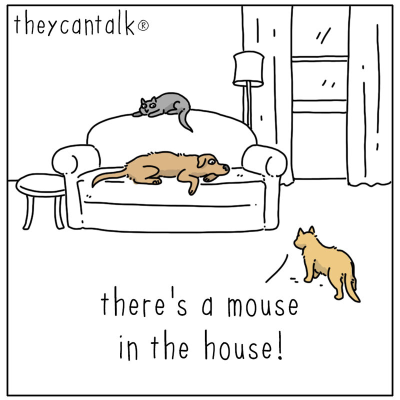 https://cdn-dev.tinyview.com/they-can-talk/2023/09/25/mouse/mouse_intruder1.jpg