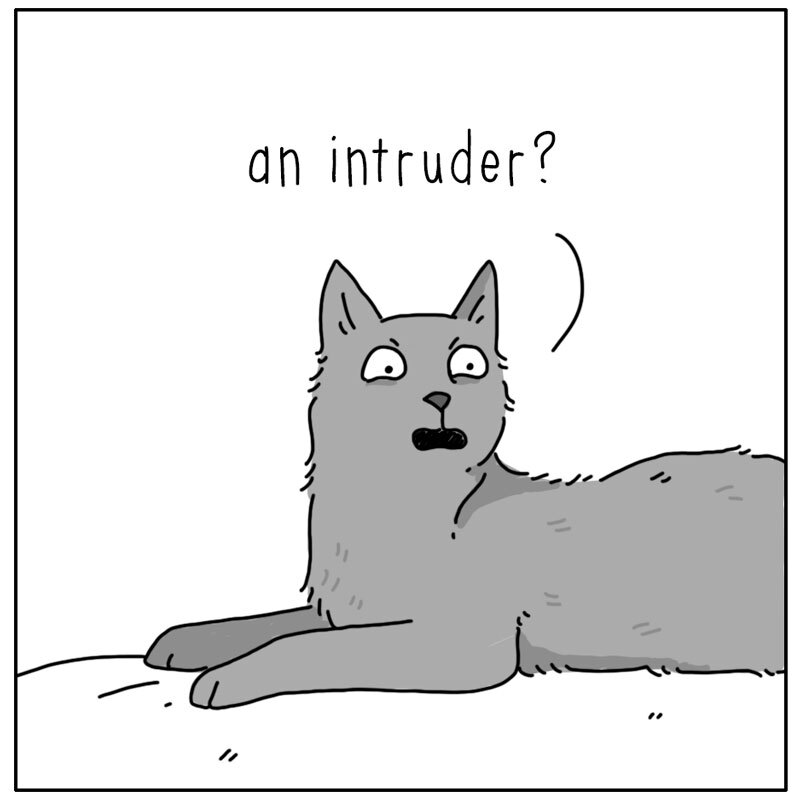 https://cdn-dev.tinyview.com/they-can-talk/2023/09/25/mouse/mouse_intruder2.jpg