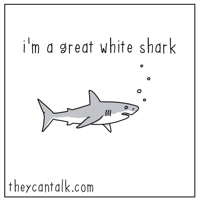 https://cdn-dev.tinyview.com/they-can-talk/2023/09/29/great/shark_greatest1.jpg