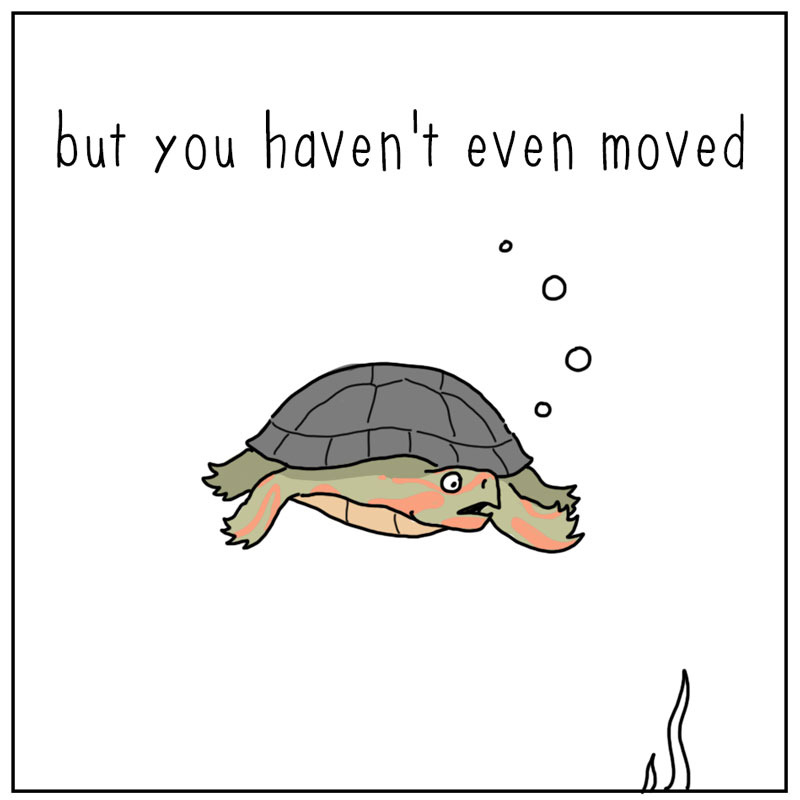 https://cdn-dev.tinyview.com/they-can-talk/2023/10/09/hunting/turtle_hunting3.jpg