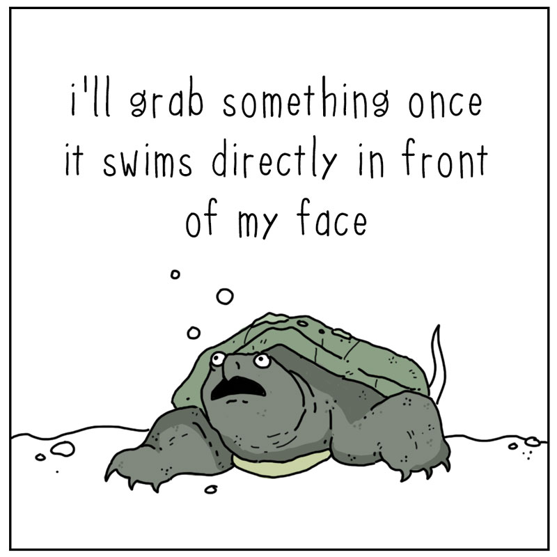 https://cdn-dev.tinyview.com/they-can-talk/2023/10/09/hunting/turtle_hunting4.jpg