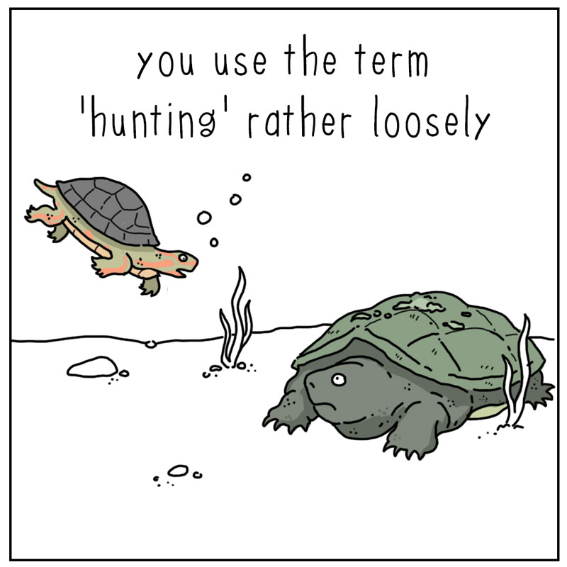 https://cdn-dev.tinyview.com/they-can-talk/2023/10/09/hunting/turtle_hunting5.jpg