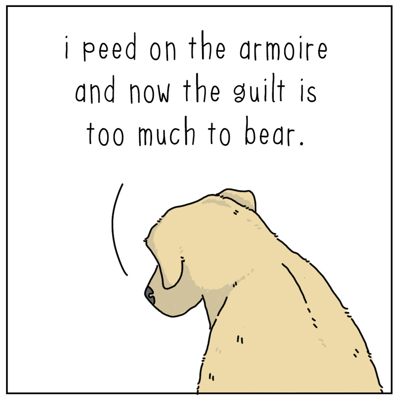 https://cdn-dev.tinyview.com/they-can-talk/2023/11/24/armoire/cat_guilt1.jpg