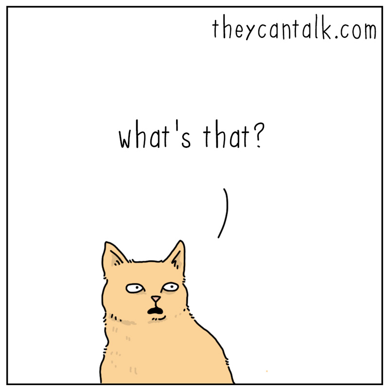 https://cdn-dev.tinyview.com/they-can-talk/2023/11/24/armoire/cat_guilt2.jpg