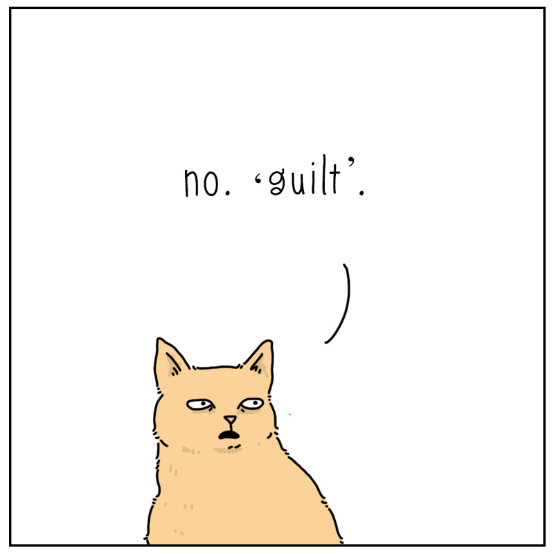 https://cdn-dev.tinyview.com/they-can-talk/2023/11/24/armoire/cat_guilt4.jpg