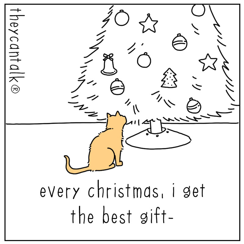 https://cdn-dev.tinyview.com/they-can-talk/2023/12/04/gift/cat_xmastoys1.jpg
