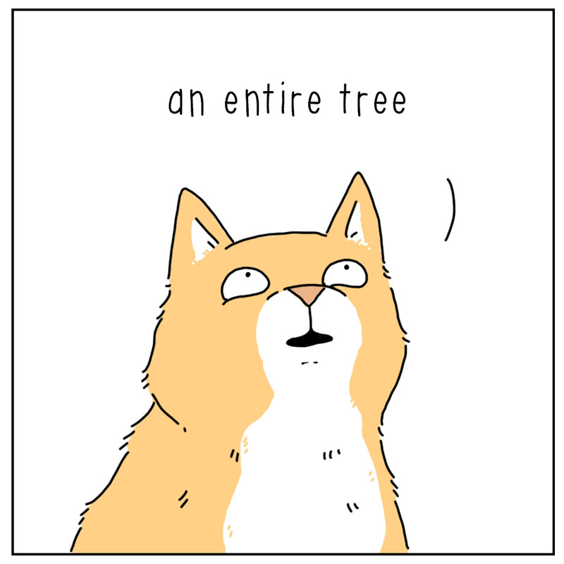 https://cdn-dev.tinyview.com/they-can-talk/2023/12/04/gift/cat_xmastoys2.jpg