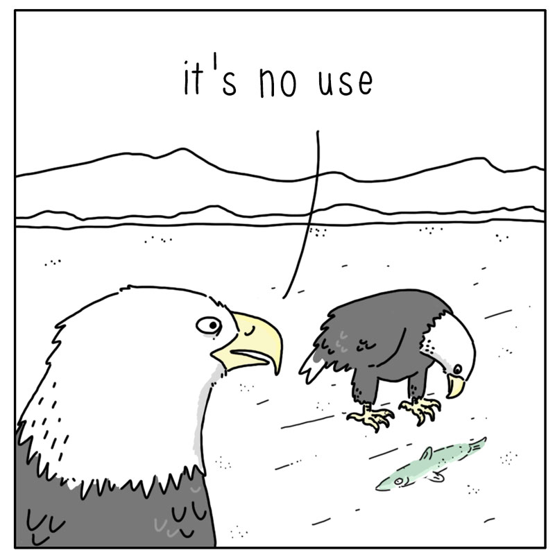 https://cdn-dev.tinyview.com/they-can-talk/2023/12/08/options/eagle_windowshopping1.jpg