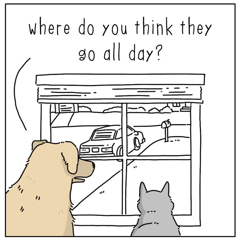https://cdn-dev.tinyview.com/they-can-talk/2023/12/11/away/dog_petotherdogs1.jpg