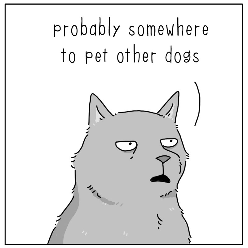 https://cdn-dev.tinyview.com/they-can-talk/2023/12/11/away/dog_petotherdogs2.jpg