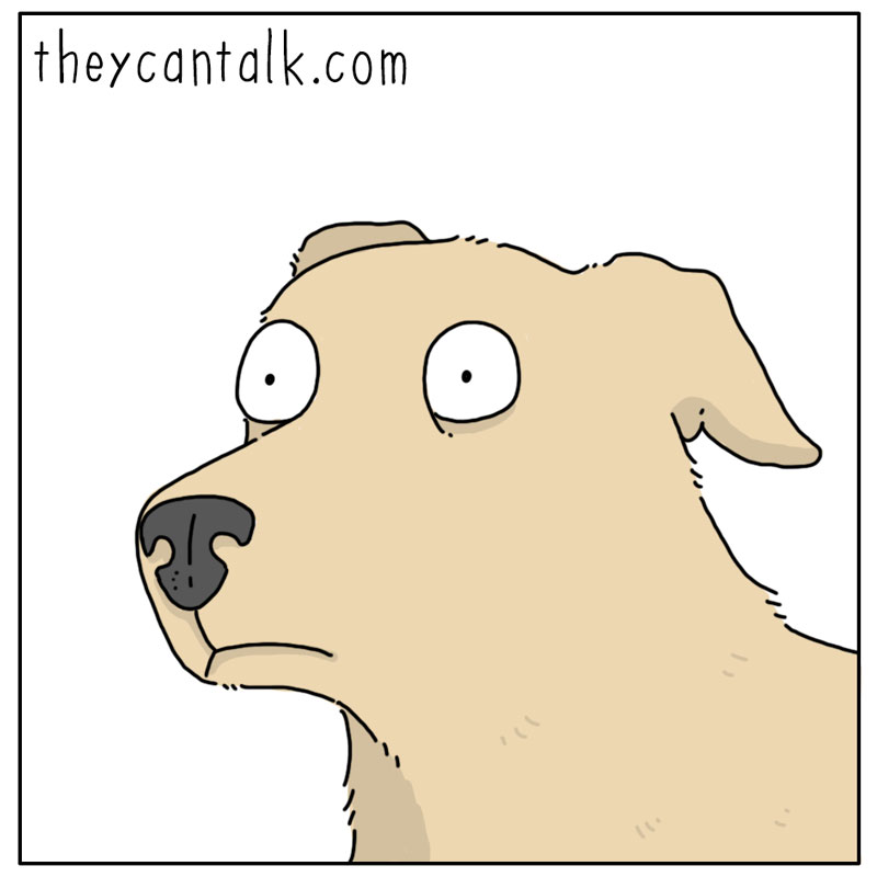 https://cdn-dev.tinyview.com/they-can-talk/2023/12/11/away/dog_petotherdogs3.jpg