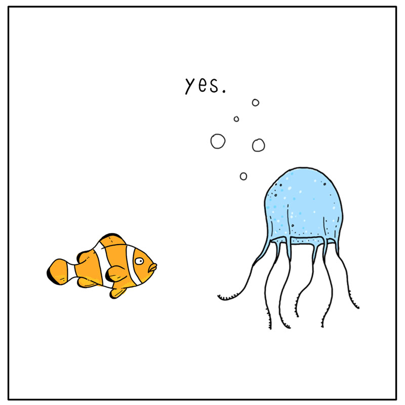 https://cdn-dev.tinyview.com/they-can-talk/2024/02/16/brain/jellyfish_brain2.jpg