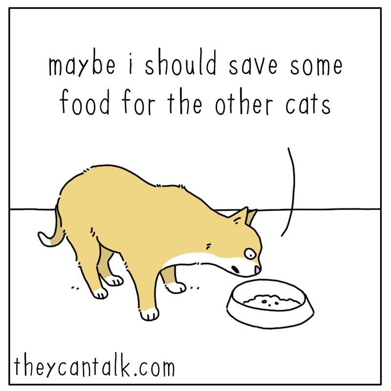 https://cdn-dev.tinyview.com/they-can-talk/2024/02/26/reasoning/cat_greatergood1.jpg