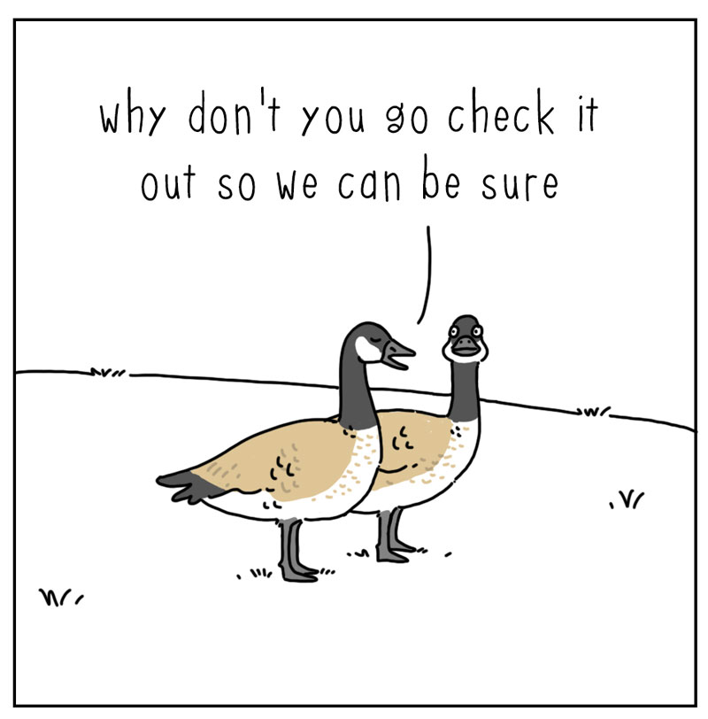 https://cdn-dev.tinyview.com/they-can-talk/2024/03/04/decoy/goose_coyote2.jpg