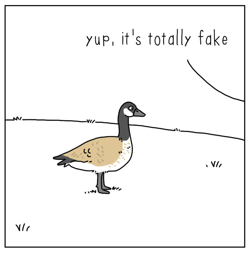 https://cdn-dev.tinyview.com/they-can-talk/2024/03/04/decoy/goose_coyote3.jpg