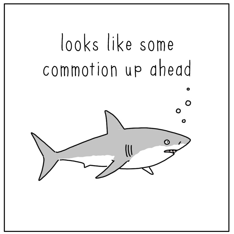 https://cdn-dev.tinyview.com/they-can-talk/2024/03/08/investigate/shark_investigate_1.jpg