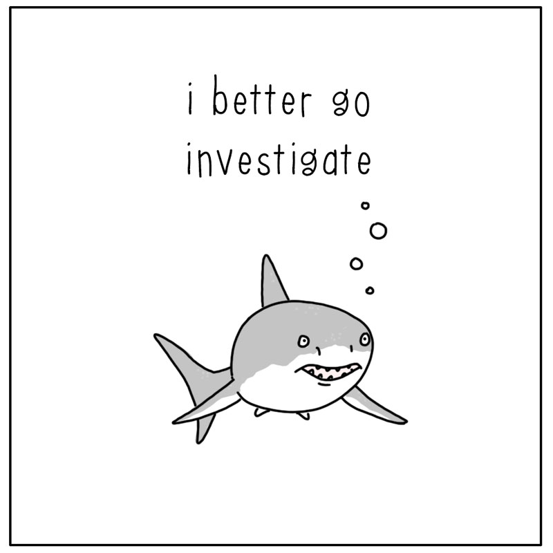 https://cdn-dev.tinyview.com/they-can-talk/2024/03/08/investigate/shark_investigate_2.jpg