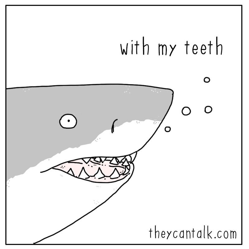 https://cdn-dev.tinyview.com/they-can-talk/2024/03/08/investigate/shark_investigate_3.jpg