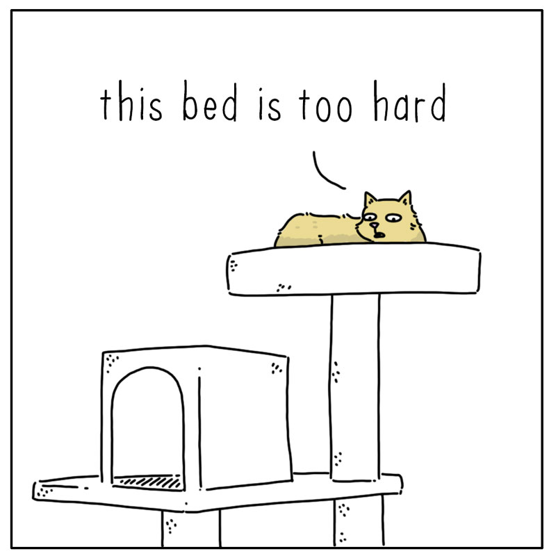 https://cdn-dev.tinyview.com/they-can-talk/2024/03/11/goldilocks/cat_bed1.jpg