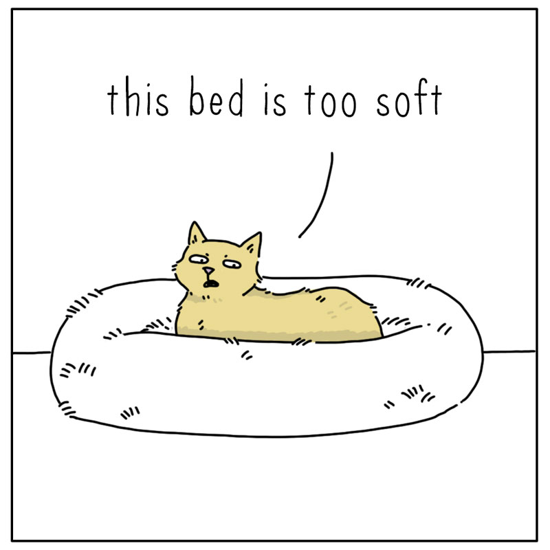 https://cdn-dev.tinyview.com/they-can-talk/2024/03/11/goldilocks/cat_bed2.jpg