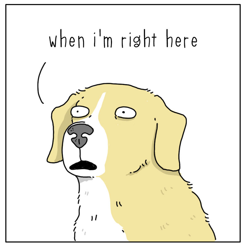 https://cdn-dev.tinyview.com/they-can-talk/2024/03/18/scraps/dog_scraps2.jpg