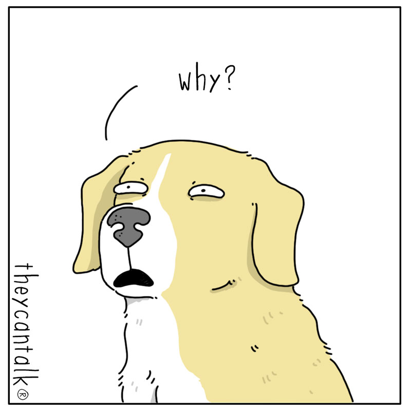 https://cdn-dev.tinyview.com/they-can-talk/2024/03/18/scraps/dog_scraps3.jpg