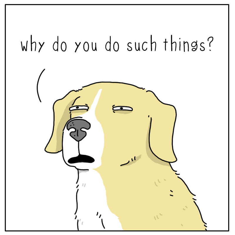 https://cdn-dev.tinyview.com/they-can-talk/2024/03/18/scraps/dog_scraps4.jpg