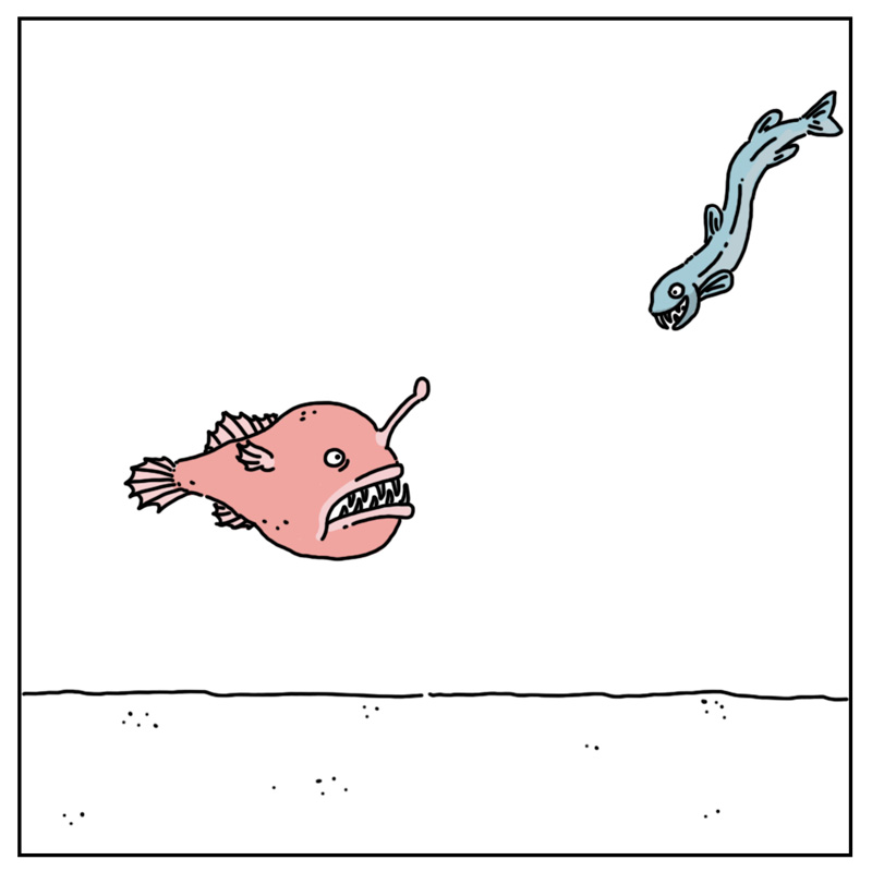 https://cdn-dev.tinyview.com/they-can-talk/2024/03/22/lonely/anglerfish_lonely2.jpg