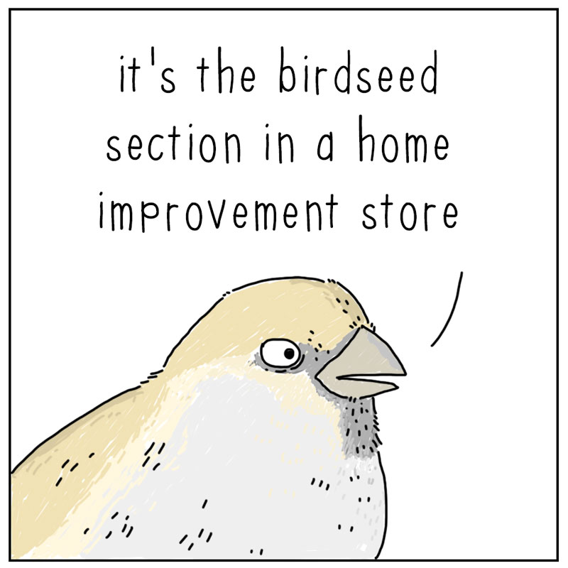 https://cdn-dev.tinyview.com/they-can-talk/2024/03/29/heaven/bird_heaven2.jpg