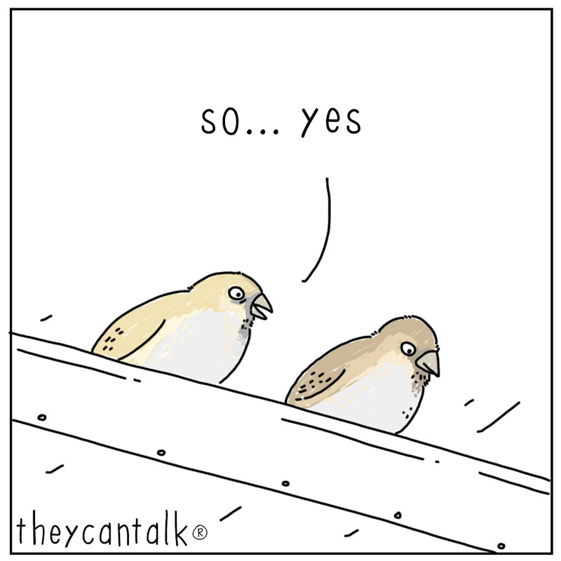 https://cdn-dev.tinyview.com/they-can-talk/2024/03/29/heaven/bird_heaven3.jpg