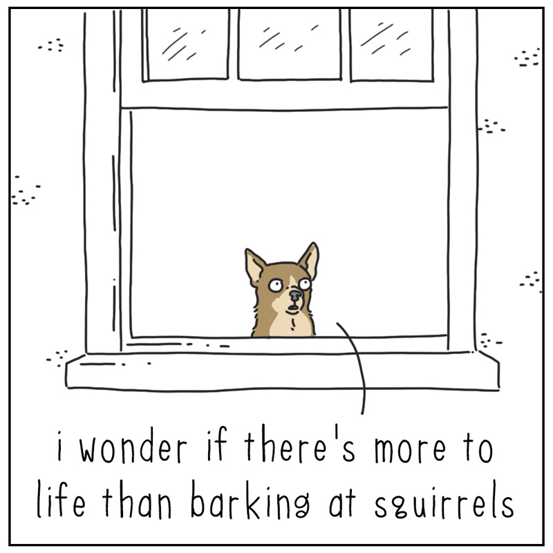 https://cdn-dev.tinyview.com/they-can-talk/2024/04/22/barking/dog_barking1.jpg