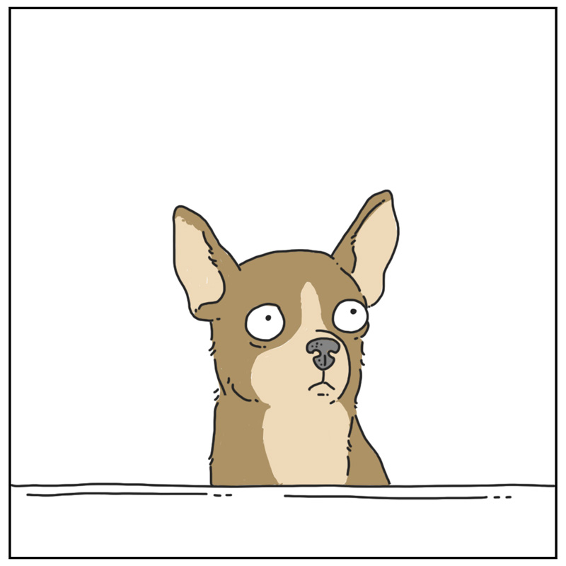 https://cdn-dev.tinyview.com/they-can-talk/2024/04/22/barking/dog_barking2.jpg