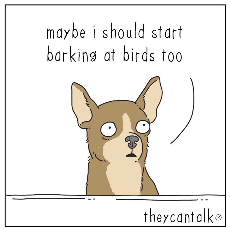https://cdn-dev.tinyview.com/they-can-talk/2024/04/22/barking/dog_barking3.jpg