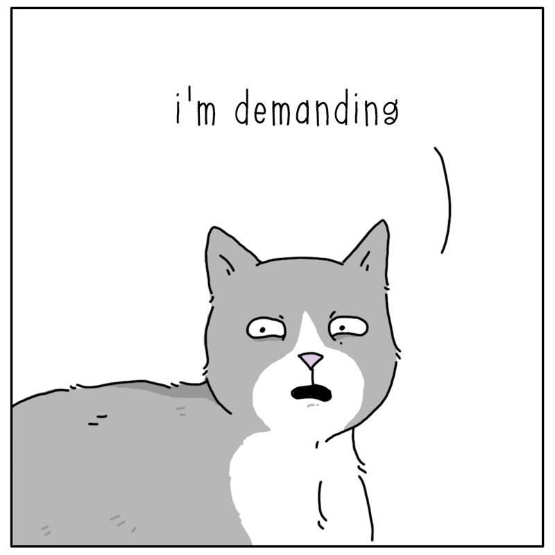 https://cdn-dev.tinyview.com/they-can-talk/2024/04/26/begging/cat_begging3.jpg